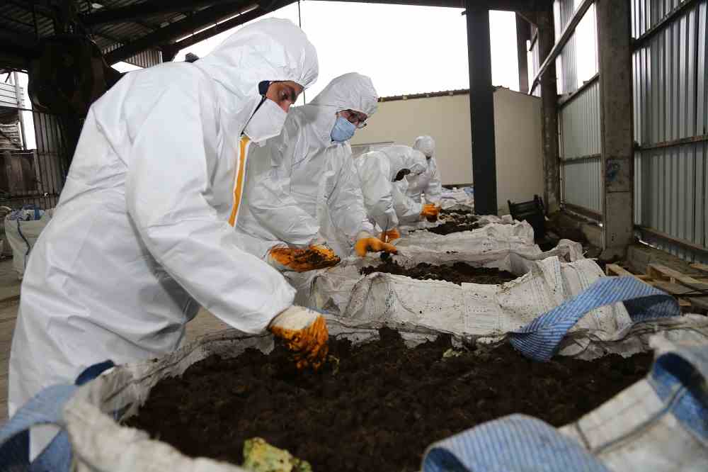 BÜYÜKŞEHİRDEN ORGANİK SOLUCAN GÜBRESİ